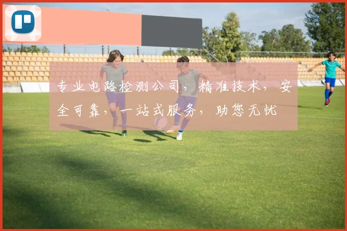专业电路检测公司，精准技术，安全可靠，一站式服务，助您无忧