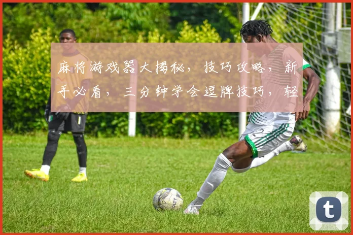 麻将游戏器大揭秘，技巧攻略，新手必看，三分钟学会逗牌技巧，轻松赢牌逗你乐