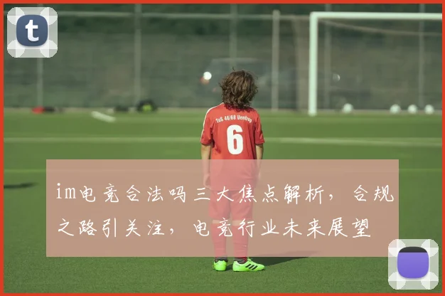 im电竞合法吗三大焦点解析，合规之路引关注，电竞行业未来展望